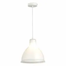 EVOLUCE SLE114703-01 Подвес Белый/Белый E27 1*60W
