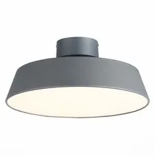 EVOLUCE SLE600272-01 Светильник потолочный Серый/Белый LED 1*30W 3000K