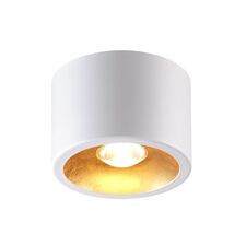 Odeon Light 6668/1CL; 0046496 Потолочный накладной светильник