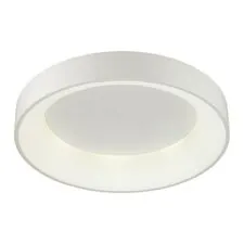 Odeon Light 4066/40CL; 0040700 Светильник потолочный