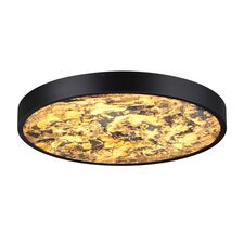 Odeon Light 5064/40L; 0047428 Настенно-потолочный светильник