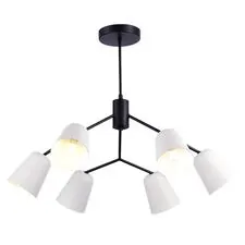 EVOLUCE SLE155942-06 Светильник потолочный Черный/Белый E14 6*40W