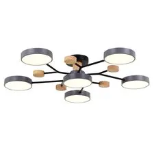 EVOLUCE SLE6006-702-06 Светильник потолочный Серый/Серый LED 6*12W 3000K/4500K/6000K