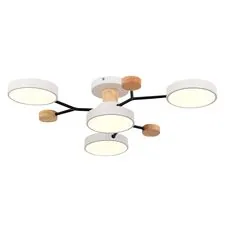 EVOLUCE SLE6006-502-04 Светильник потолочный Белый/Белый LED 4*12W 3000K/4500K/6000K