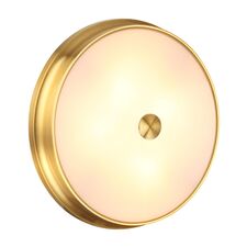 Odeon Light 4824/4C; 0043652 Настенно-потолочный светильник