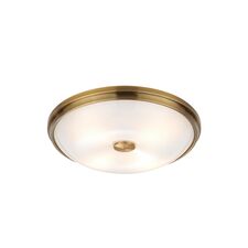 Odeon Light 4956/4; 0044891 Настенно-потолочный светильник