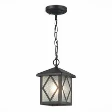 ST LUCE SL084.403.01 Светильник уличный подвесной ST-Luce Черный/Черный, Прозрачный E27 1*60W