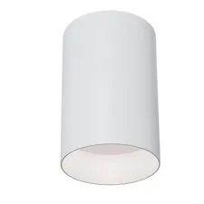 Maytoni Technical C014CL-01W Потолочный светильник Alfa
