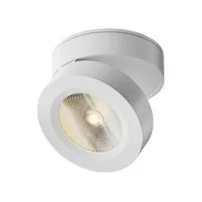 Maytoni Technical C022CL-L12W Потолочный светильник Magic