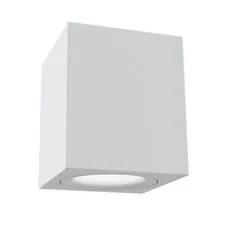 Maytoni Technical C013CL-01W Потолочный светильник Alfa
