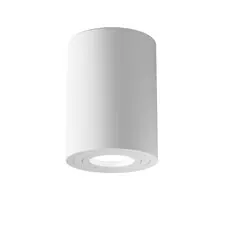 Maytoni Technical C016CL-01W Потолочный светильник Alfa