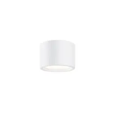 Maytoni Technical C090CL-10W4K-W Потолочный светильник Hydra