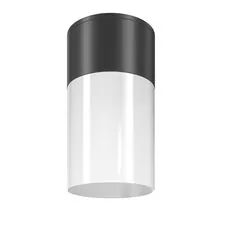 Maytoni Outdoor O418CL-01B Уличный потолочный светильник Willis