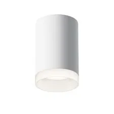 Maytoni Technical C008CW-01W Светильник потолочный Pauline