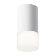 Maytoni Technical C007CW-01W Светильник потолочный Pauline