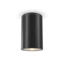 Maytoni Outdoor O307CL-01B Уличный потолочный светильник Roll