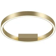 Maytoni Decorative MOD058CL-L25BSK Светильник потолочный светодиодный Rim