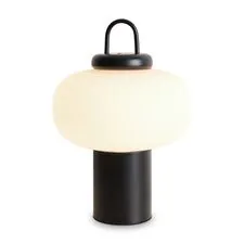 Freya FR6175TL-L10B Настольный светильник