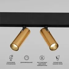 Elektrostandard a063527 85056/01 Slim Magnetic Умный трековый светильник 14W 2700-6500K Dim Dual (латунь)