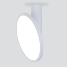 Elektrostandard a047771 DLS029 / Светильник накладной белый матовый