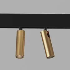 Elektrostandard a062852 Slim Magnetic Трековый светильник 14W 4200K Dual (латунь) 85046/01