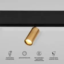 Elektrostandard a063531 85071/01 Slim Magnetic Умный трековый светильник 5W 2700-6500K Dim Cantors (латунь)