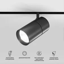 Elektrostandard a066589 85197/01 Slim Magnetic Умный трековый светильник 20W 2700-6500K Dim R03 (черный)