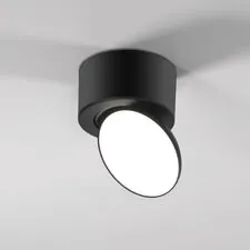Elektrostandard a065461 25053/LED / светильник потолочный светодиодный / черный