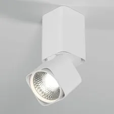 Elektrostandard a063681 Светильник потолочный светодиодный 25043/LED 10W 4000K белый