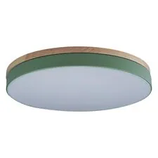 LOFT IT 10001/36 Green Потолочный светильник Axel