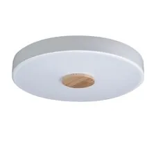 LOFT IT 10003/24 White Потолочный светильник Axel