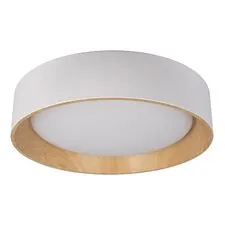 LOFT IT 10202 White Потолочный светильник Coin