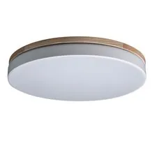 LOFT IT 10001/36 White Потолочный светильник Axel