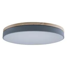 LOFT IT 10001/36 Grey Потолочный светильник Axel