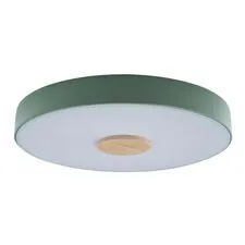 LOFT IT 10003/24 Green Потолочный светильник Axel