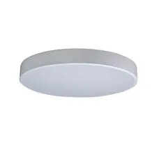 LOFT IT 10002/24 White Потолочный светильник Axel
