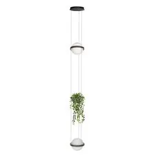 LOFT IT 10121/2P Dark grey Подвесной светильник Jardin