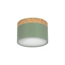 LOFT IT 10162 Green Накладной светильник Grape