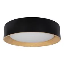 LOFT IT 10202 Black Потолочный светильник Coin