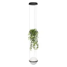 LOFT IT 10121/1P Dark grey Подвесной светильник Jardin