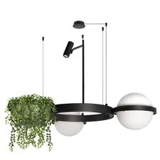 LOFT IT 10121/2 Подвесной светильник Jardin