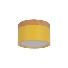 LOFT IT 10162 Yellow Накладной светильник Grape