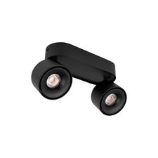 LOFT IT 10323/2A Black Накладной светильник Focus