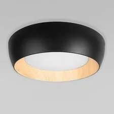 LOFT IT 10255/500 Black Потолочный светильник Folk