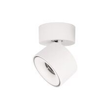 LOFT IT 10323/A White Накладной светильник Focus
