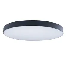 LOFT IT 10002/48 Black Потолочный светильник Axel