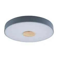 LOFT IT 10003/24 Grey Потолочный светильник Axel