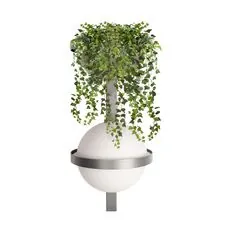 LOFT IT 10121W/B Dark grey Настенный светильник Jardin