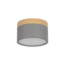 LOFT IT 10162 Grey Накладной светильник Grape