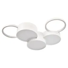 LOFT IT 10317/5 White Потолочный светильник Pin